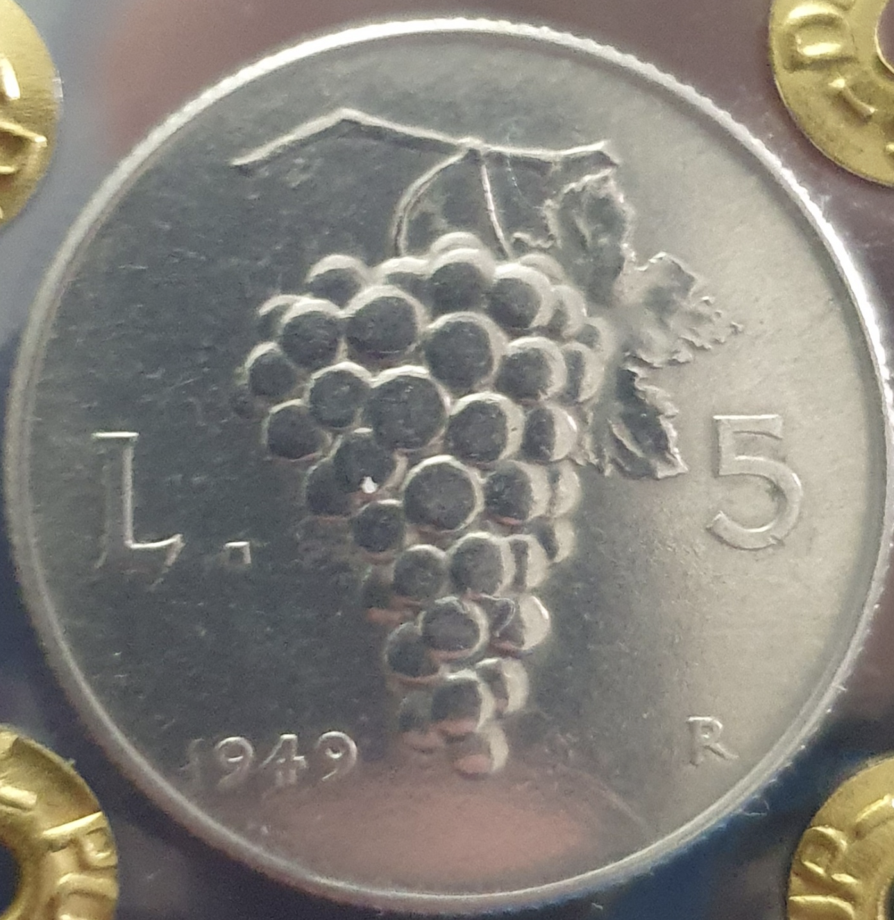 sena coins